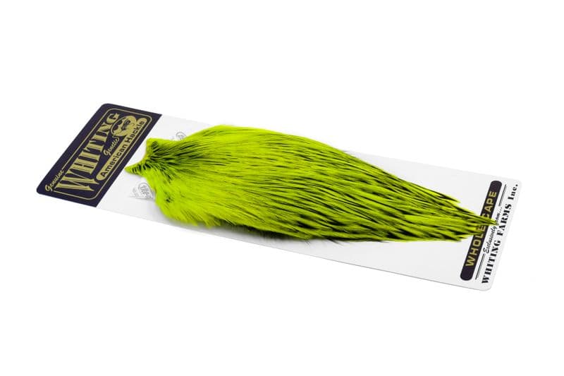American Rooster Cape BLW dyed Fl. Yellow Chartr view 2