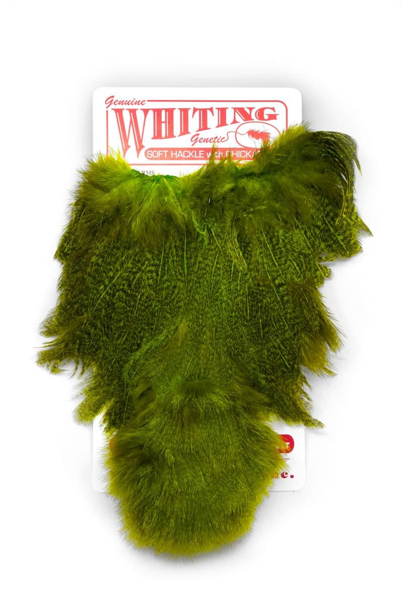 Coq De Leon Hen SH/C Speckled dyed Fl. Green Chartreuse view 3