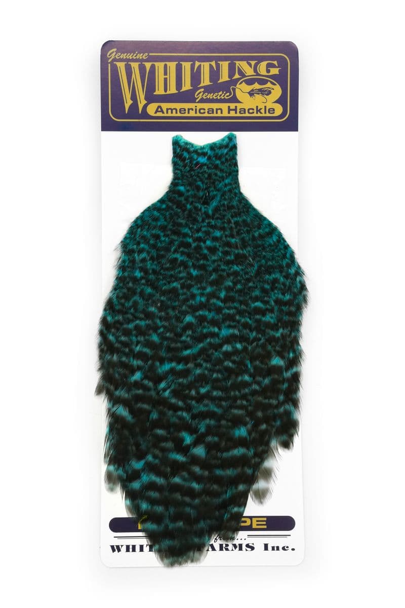 American Hen Cape Grizzly dyed Silver Dr. Blue view 3