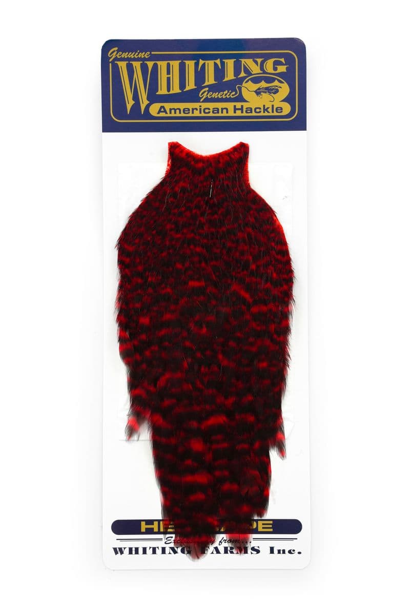 American Hen Cape Grizzly dyed Red view 3