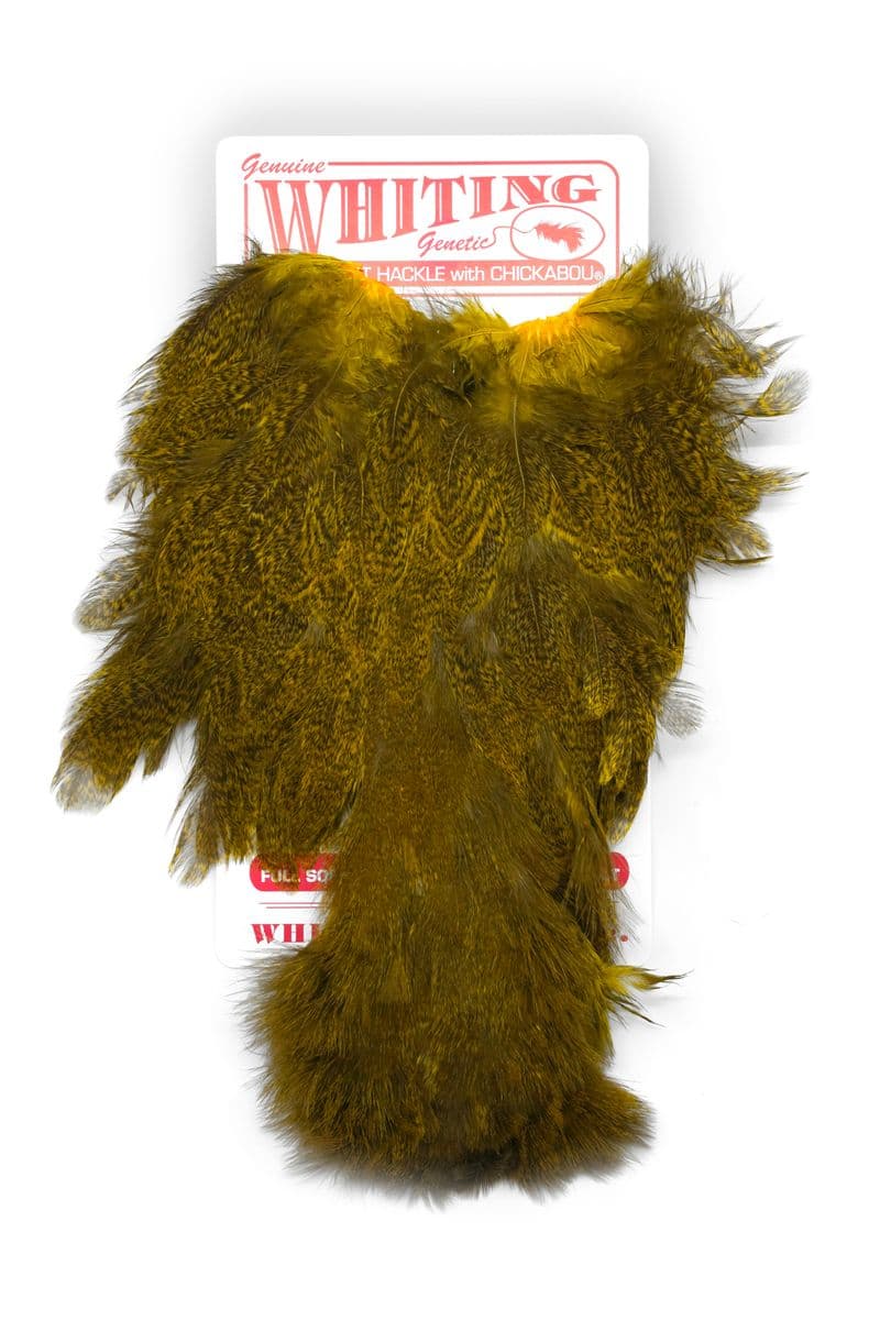 Coq De Leon Hen SH/C Speckled dyed Yellow view 3