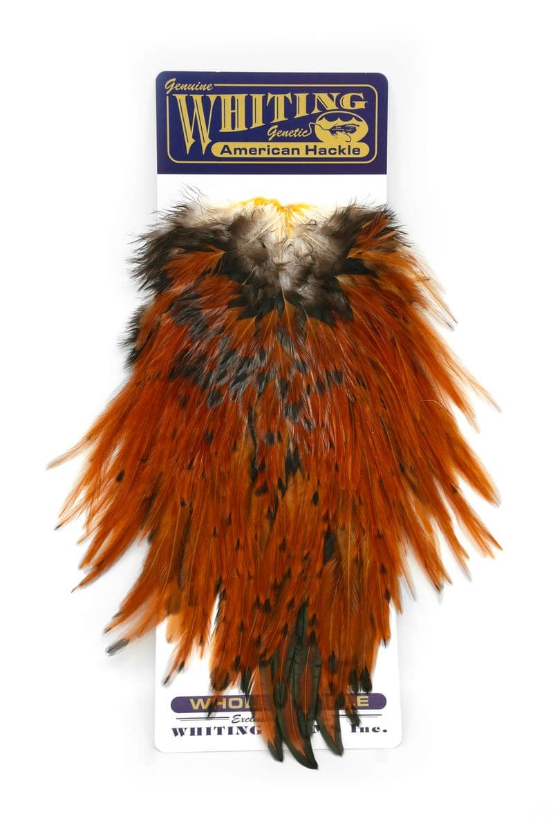 American Rooster Saddle Brown view 3