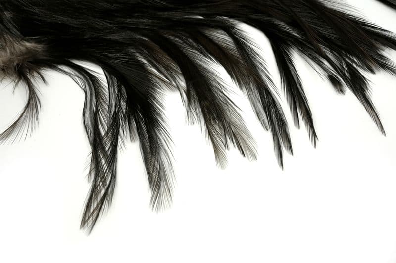 Coq de Leon Bronze Saddle Black view 4