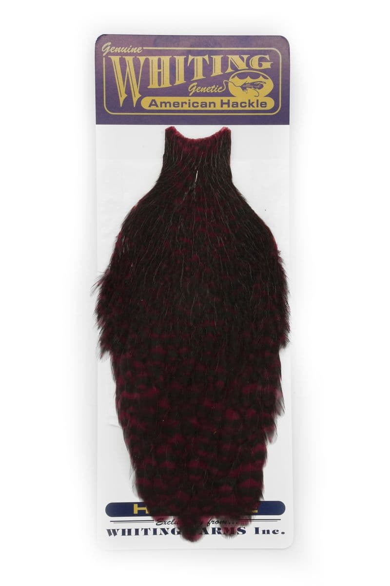 American Hen Cape Grizzly dyed Claret view 3