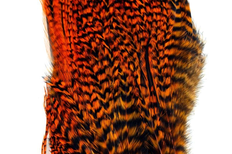 Whiting Bugger Pack Grizzly dyed Burnt Orange view 1