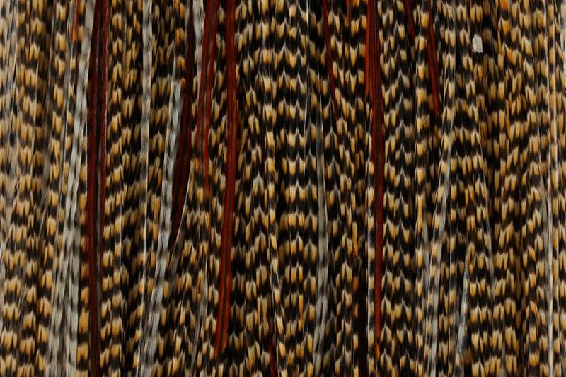 Whiting Gold Saddle Grizzly Variant view 1