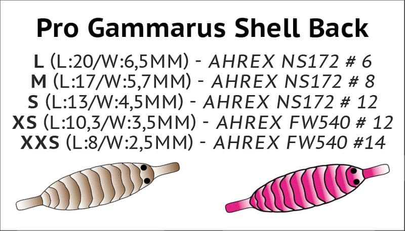 Gammarus Shell Back Black