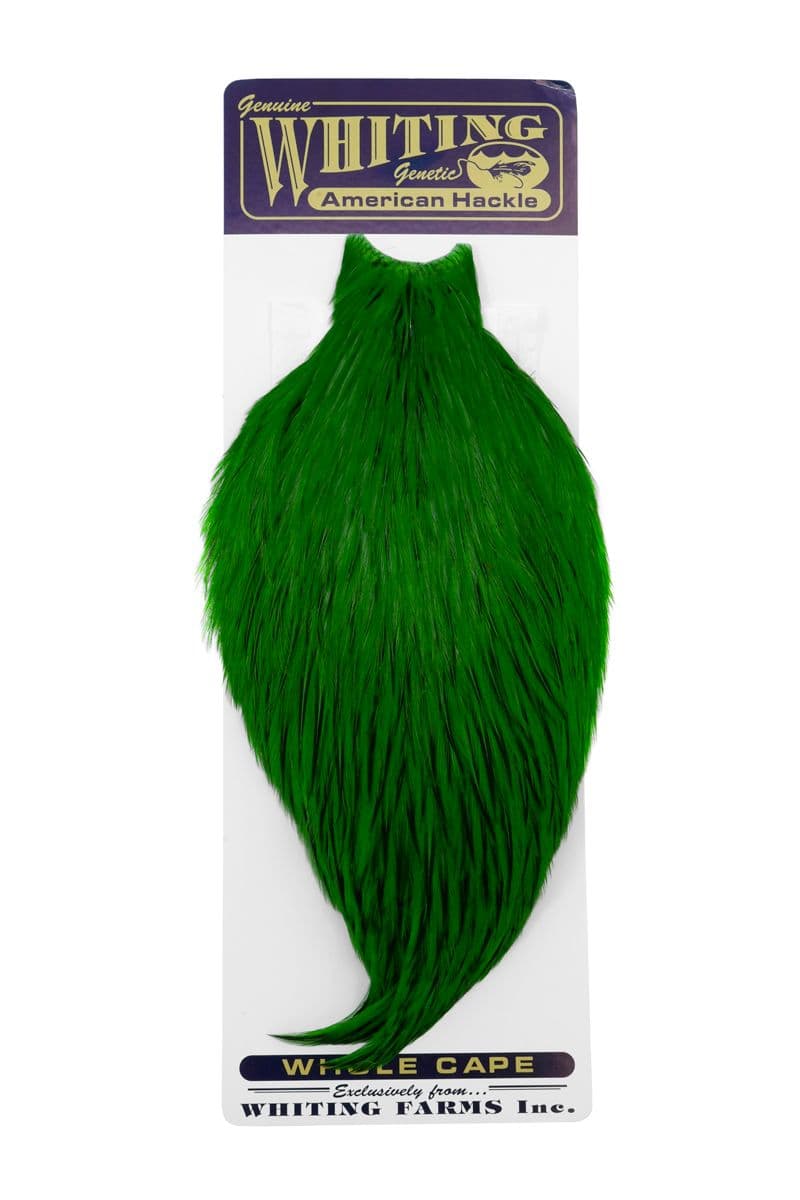 American Rooster Cape BLW dyed Highlander Green view 3