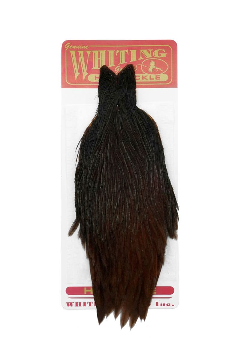 Whiting Hen Cape White dyed Coachman Brown view 2