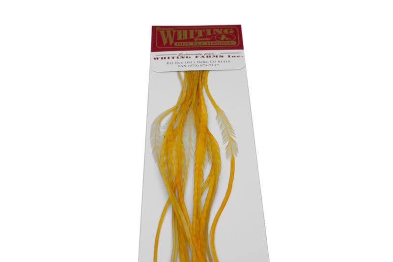 Whiting 100 Pk Size 16 Medium Ginger view 4