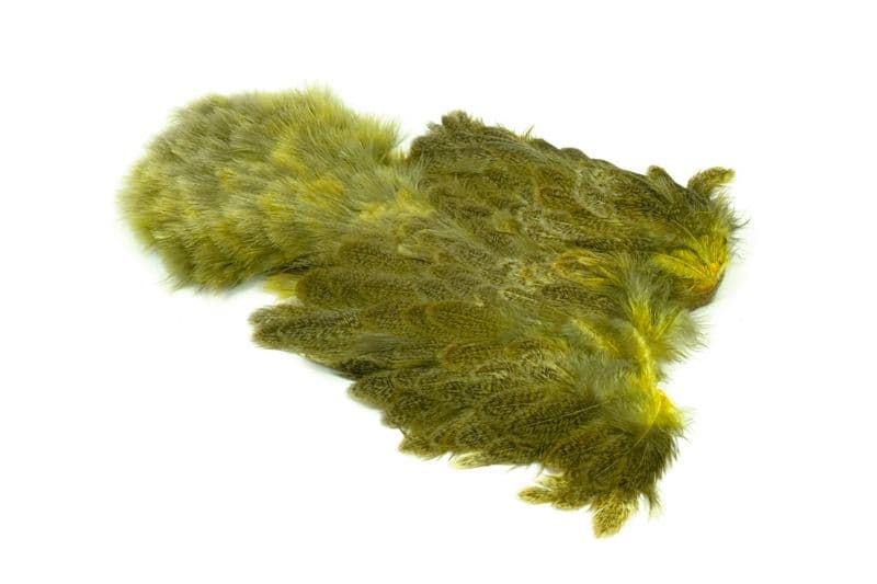Brahma Hen SH/C Mottled Grey dyed Pale Yellow view 2