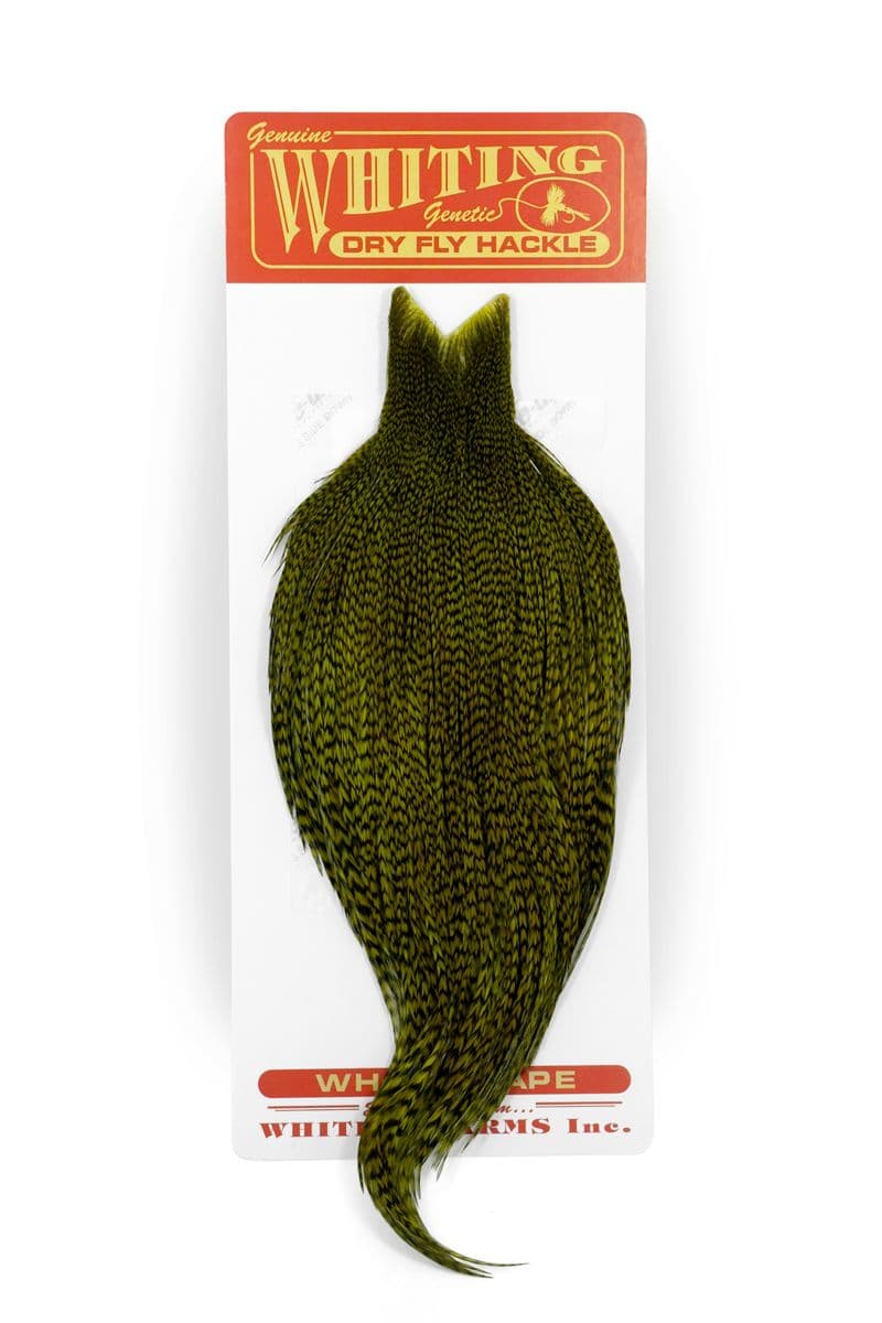 Whiting Commercial Cape Grizzly dyed Dk Olive view 3