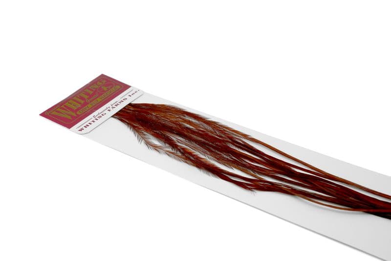 Whiting 100 Pk Size 16 White dyed Coachman Brown view 3