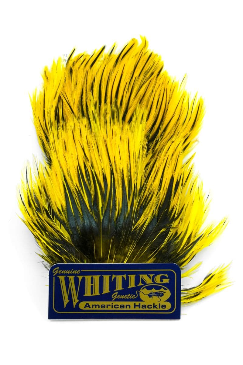 American Streamer Pack Black laced White dyed Yellow view 4