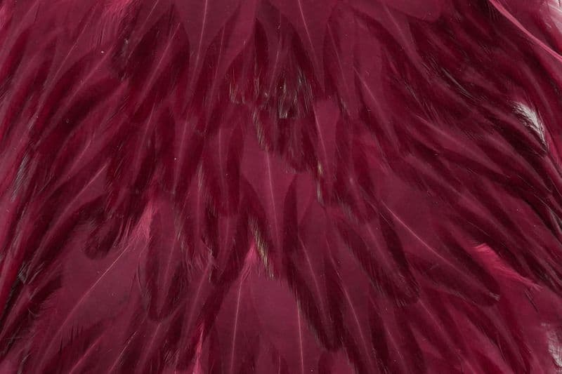 American Rooster Saddle White dyed Claret view 1