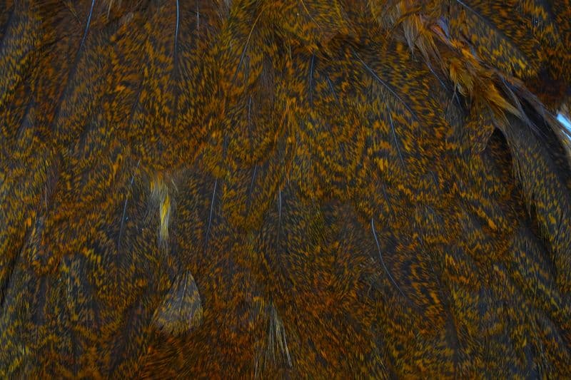 Coq De Leon Hen SH/C Speckled dyed Burnt Orange view 1