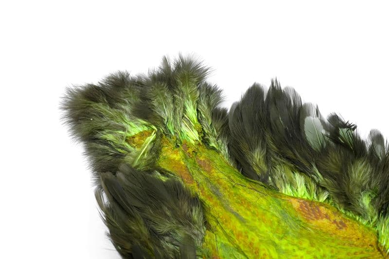 American Hen SH/C BLW dyed Insect Green view 1