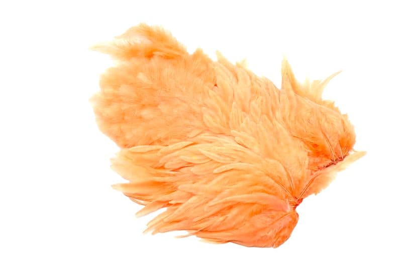 Whiting Rooster SH/C White dyed Salmon view 1