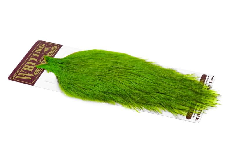 Coq de Leon Cape Badger dyed Fl. Grn Chartr. view 2