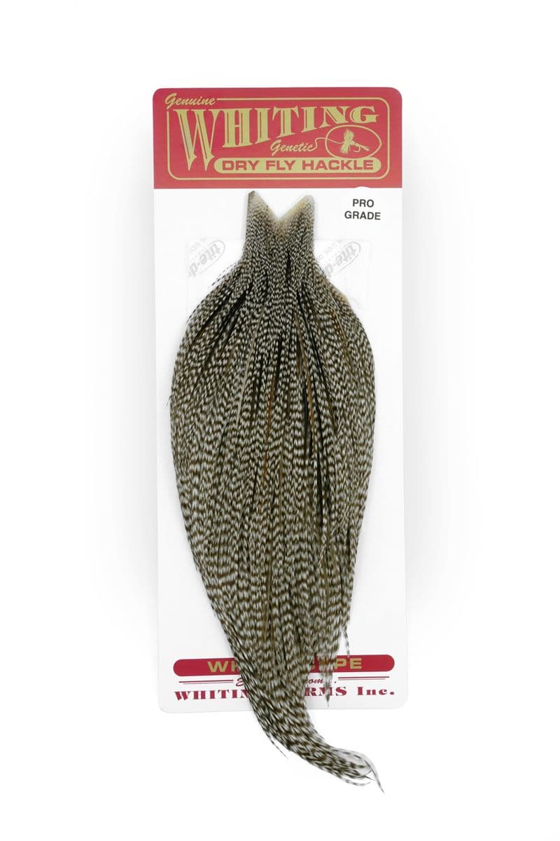 Whiting Pro Grade Cape Dun Grizzly view 3
