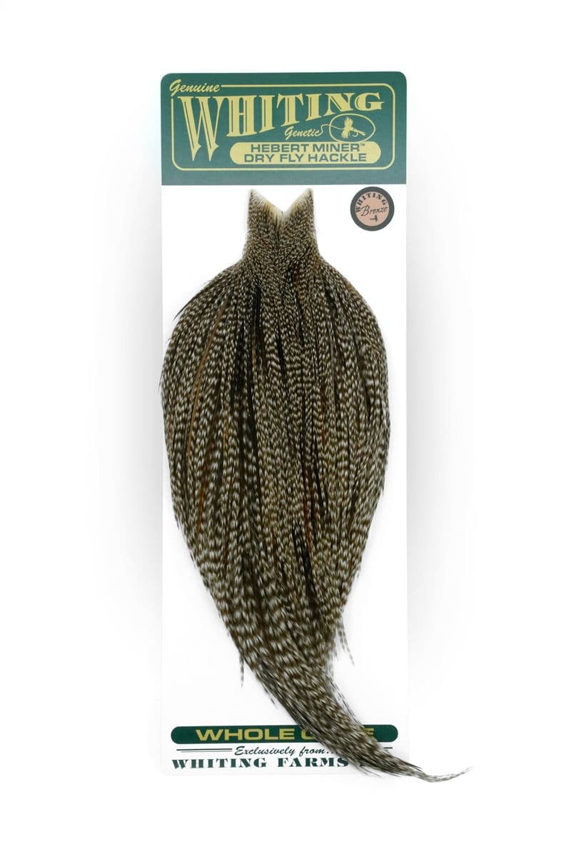 Hebert Bronze Cape Grizzly Variant view 3
