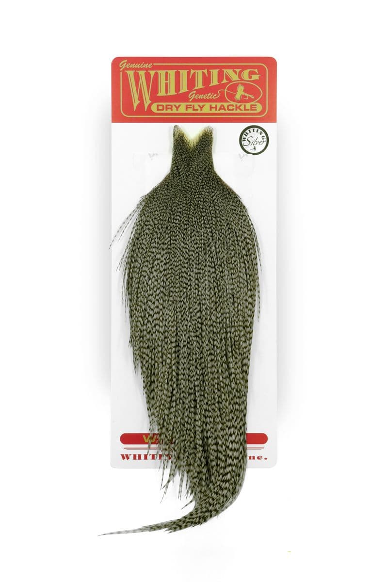 Whiting Silver Cape Grizzly dyed Dun view 3