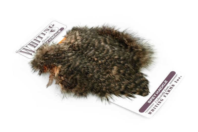Spey Hackle Hen Saddle White dyed Salmon view 2