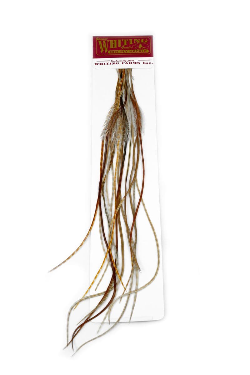 Whiting 100 Pk Size 18 Barred Dark Ginger view 2
