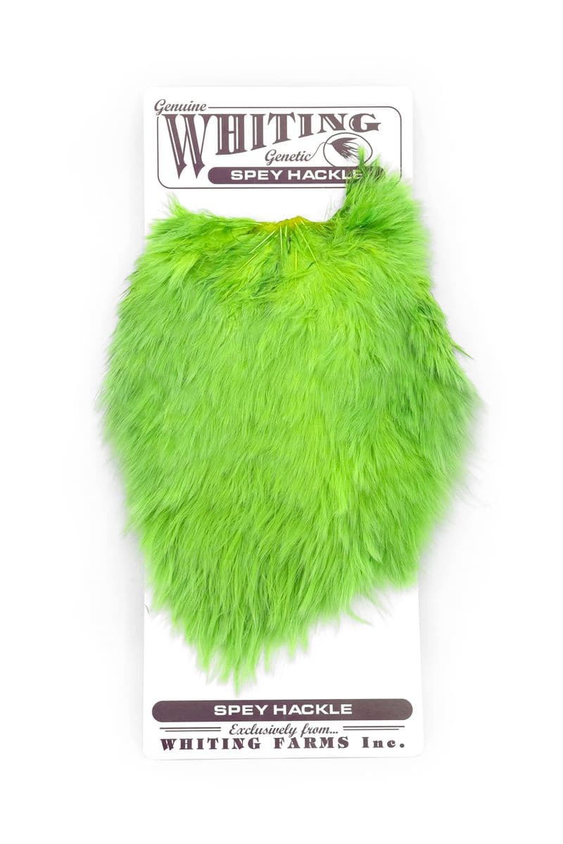 Spey Hackle Hen Saddle White dyed Insect Green view 3