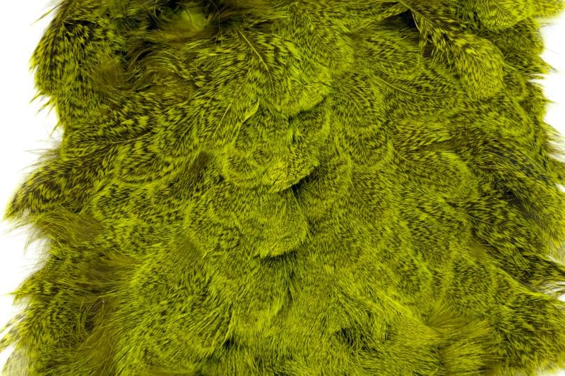 Coq De Leon Hen SH/C Speckled dyed Fl. Yellow Chartreuse view 1