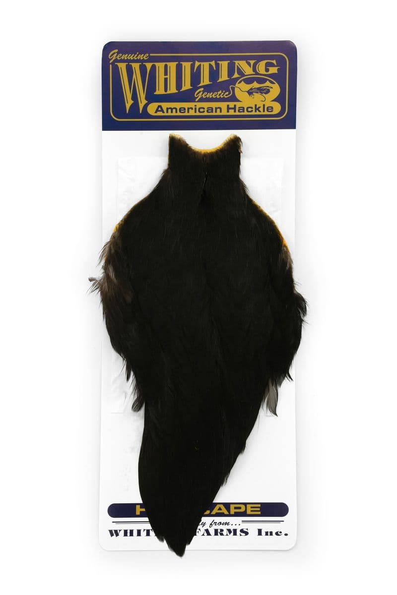 American Hen Cape Black view 3