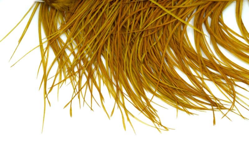 Whiting Silver Saddle White dyed Golden Olive view 4