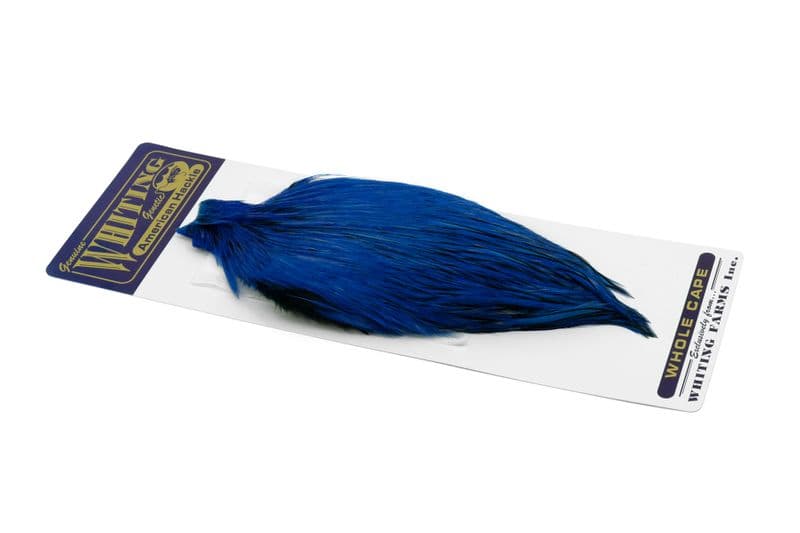 American Rooster Cape BLW dyed Kingfisher Blue view 2