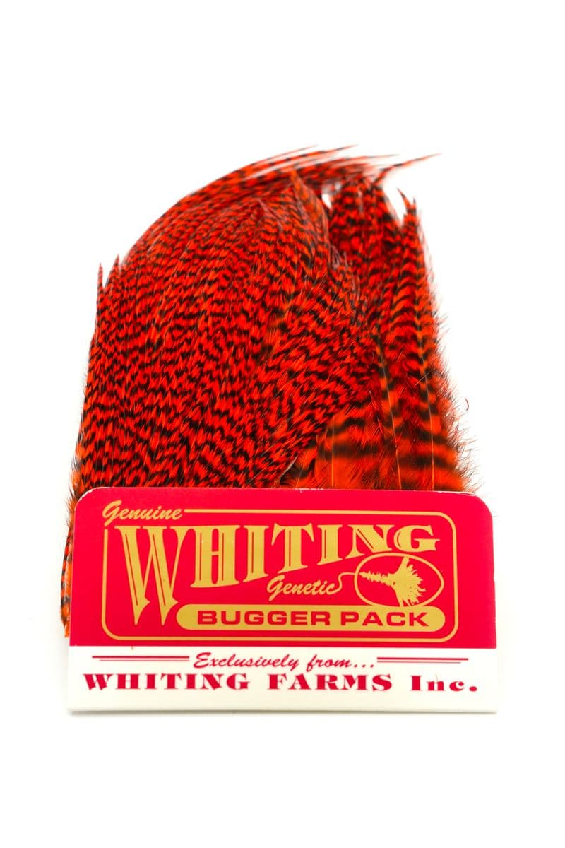 Whiting Bugger Pack Grizzly dyed Orange view 3