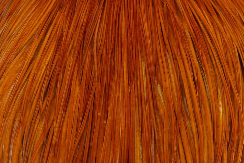 Whiting Pro Grade Cape Medium Ginger view 1