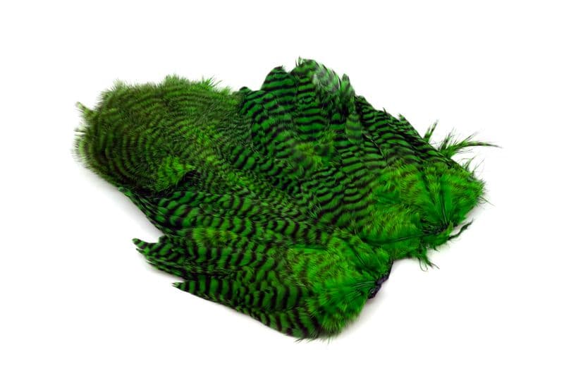 Whiting Rooster SH/C Grizzly dyed Highlander Green view 2