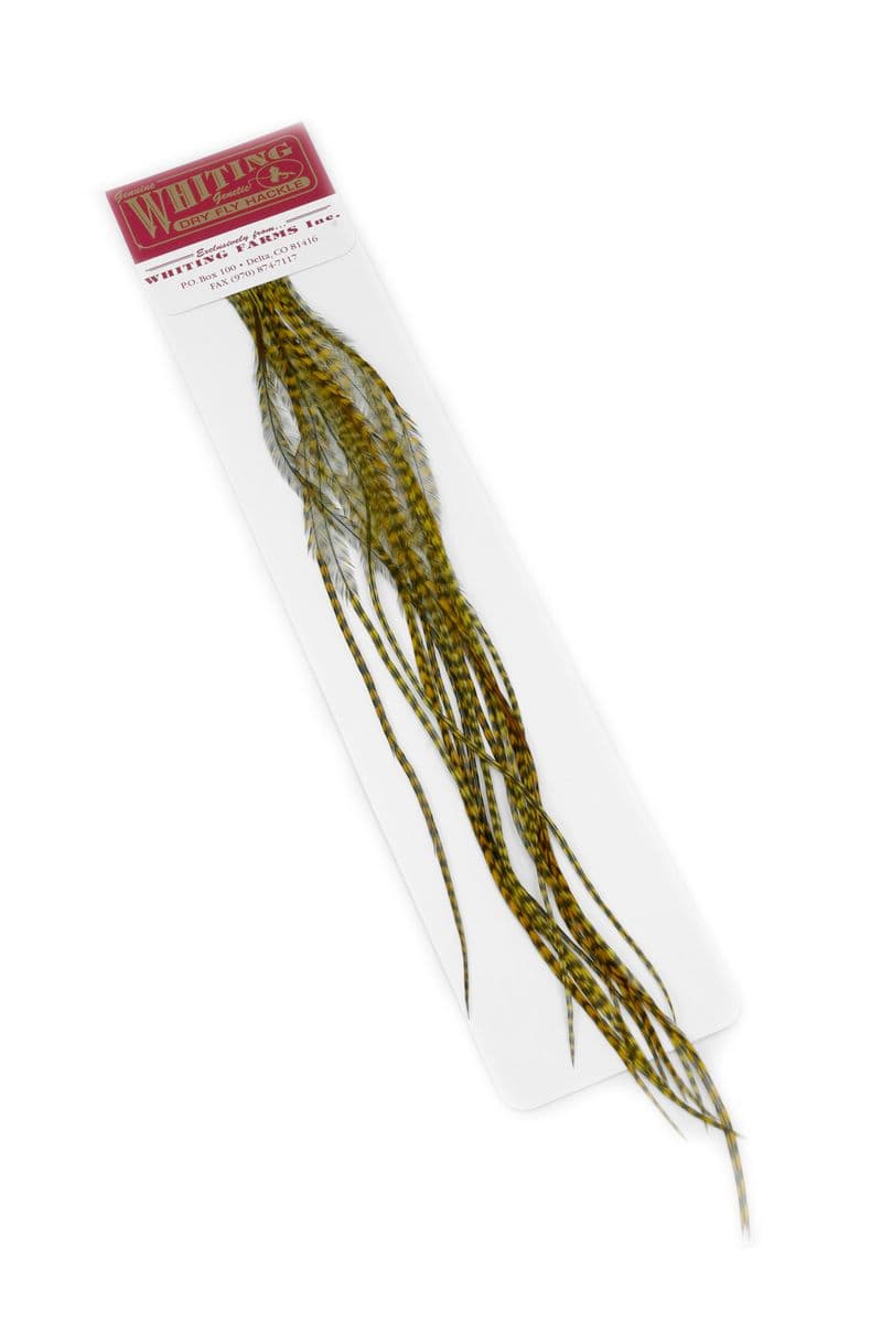 Whiting 100 Pk Size 18 Grizzly dyed Golden Olive view 1