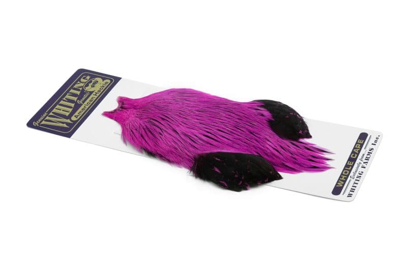 American Rooster Cape Badger dyed Pink view 2