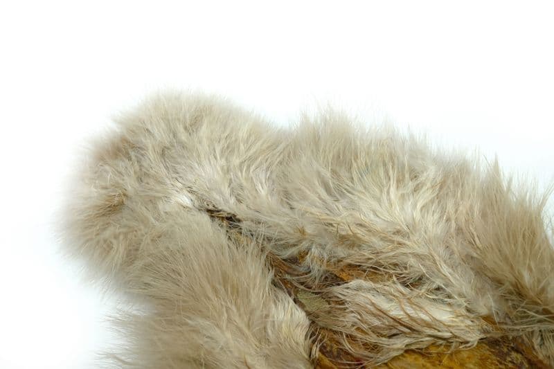 Spey SH/C White dyed Tan view 1