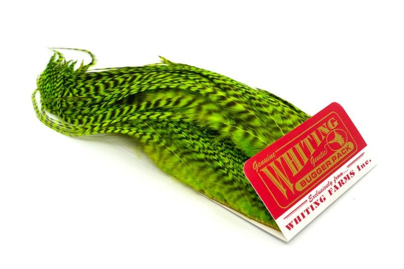 Whiting Bugger Pack Grizzly dyed Fl. Green Chartreuse view 2