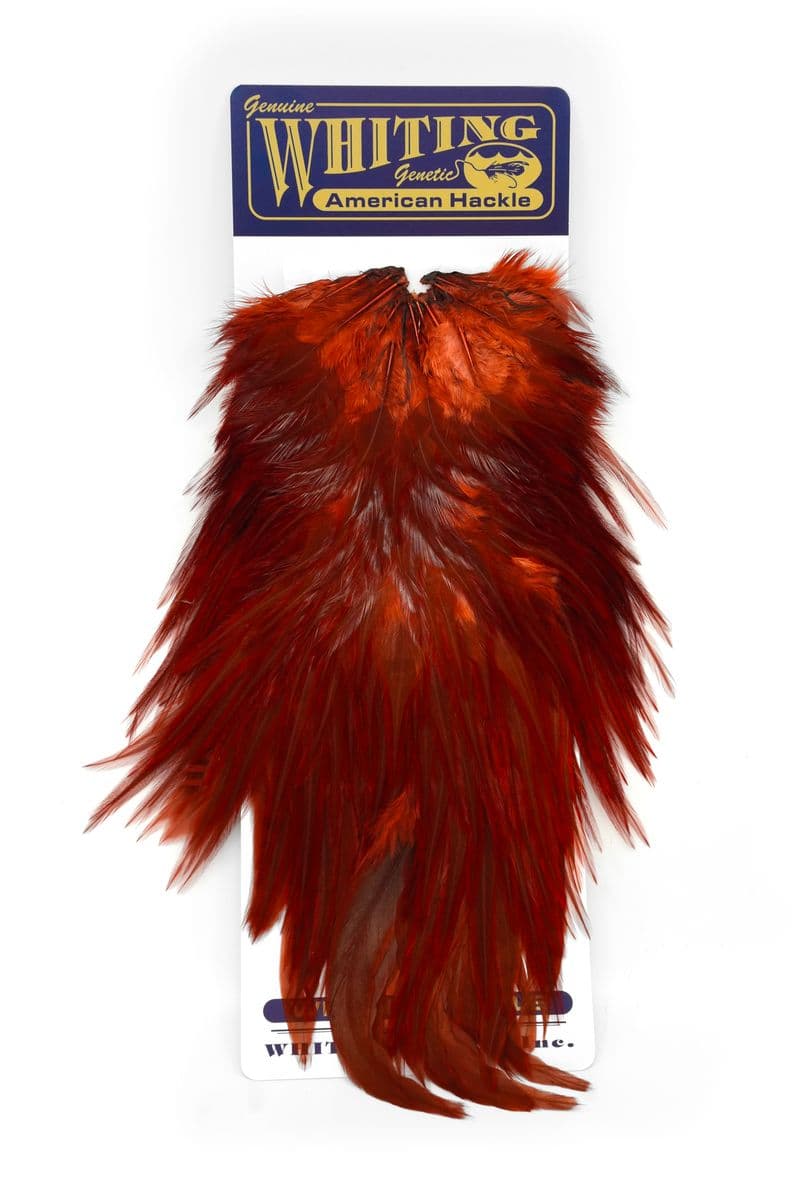 American Rooster Saddle Fiery Brown view 3