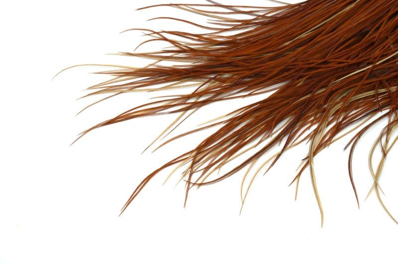 Whiting Bronze Saddle Brown view 8