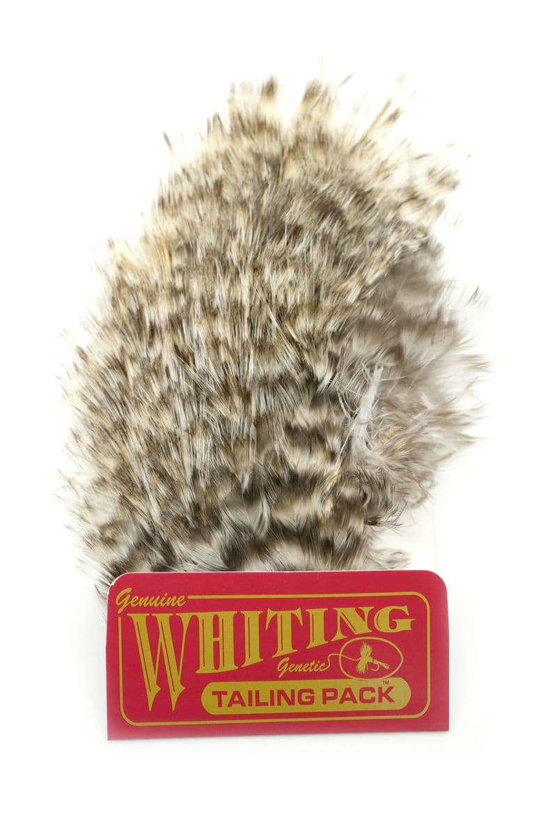 Coq de Leon Tailing Pack Grizzly Pardo view 2