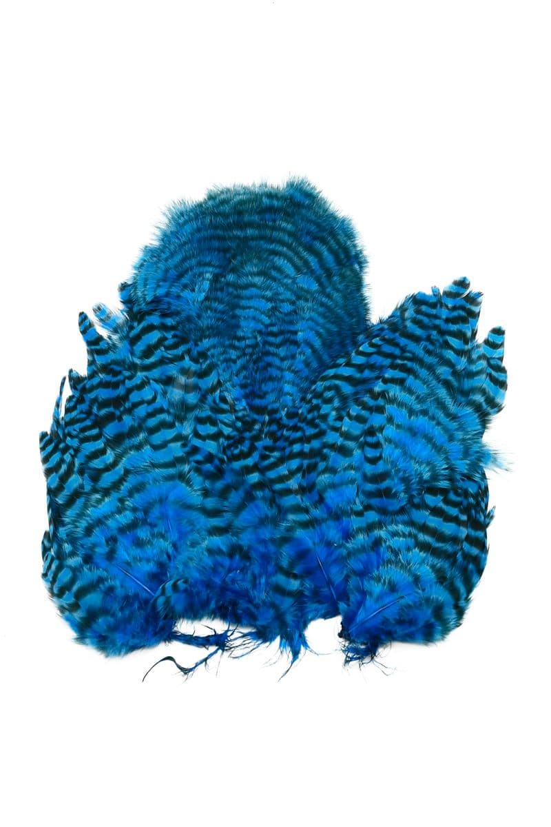 Whiting Rooster SH/C Grizzly dyed Kingfisher Blue view 2