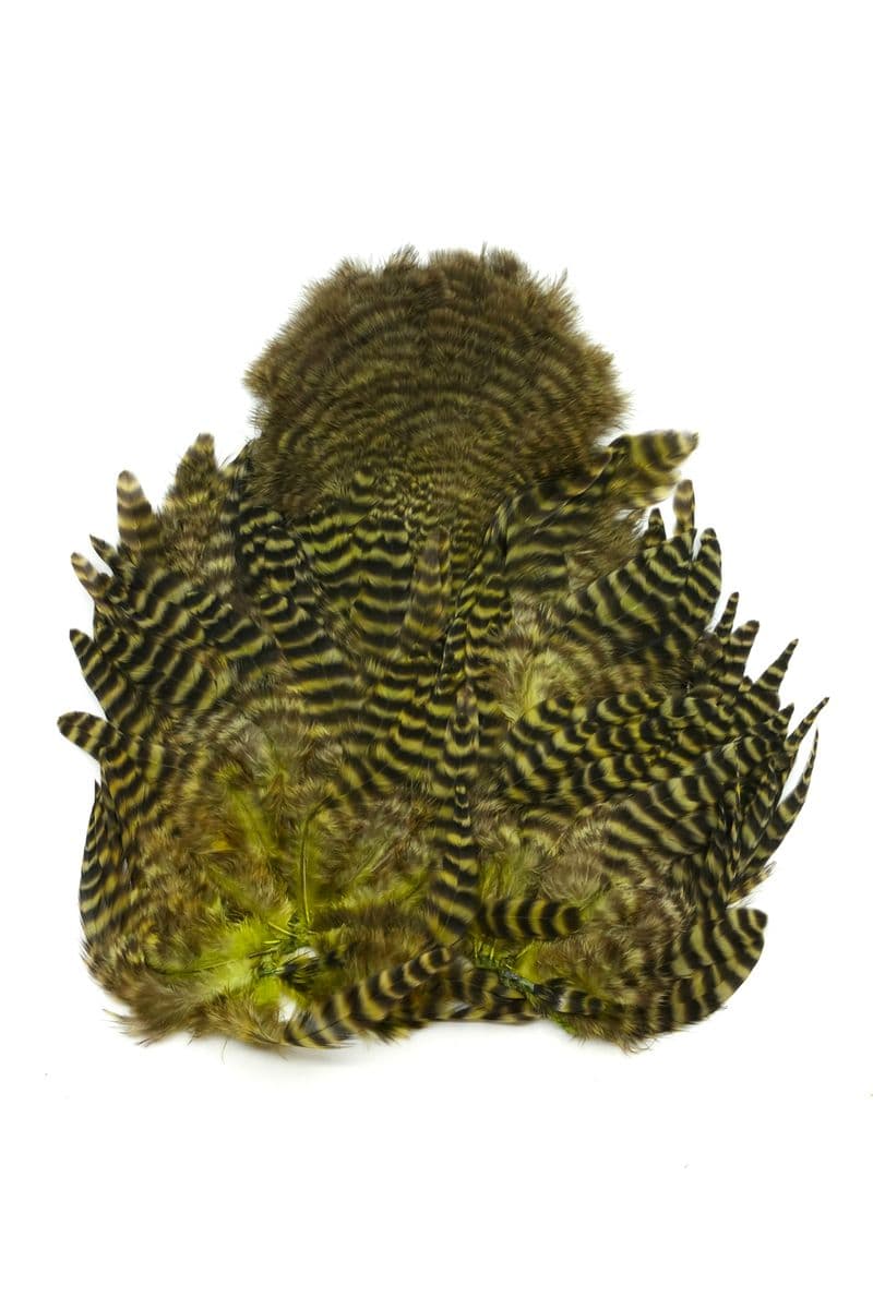 Whiting Rooster SH/C Grizzly dyed Dark Olive view 2