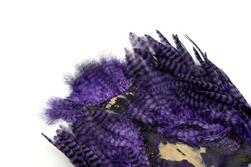 Whiting Rooster SH/C Grizzly dyed Purple view 1