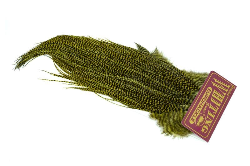 Eurohackle Saddle Grizzly dyed Olive view 2