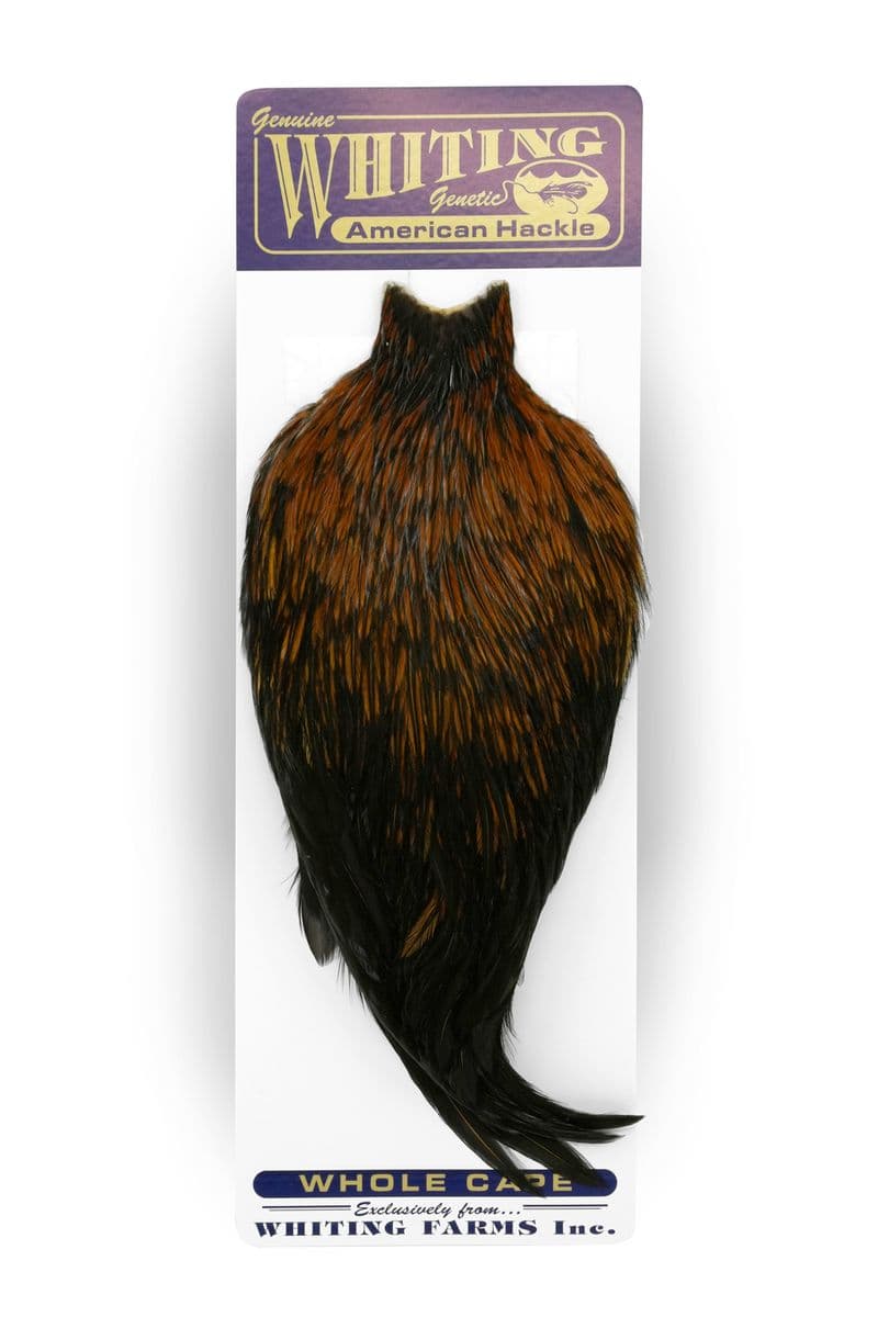 American Rooster Cape Furnace view 3