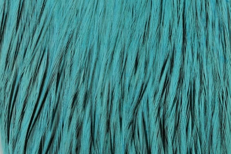 American Rooster Cape BLW dyed Silver Dr. Blue view 1