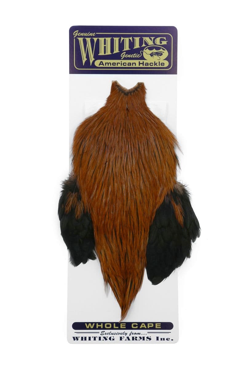 American Rooster Cape Badger dyed Brown view 3